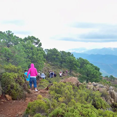 Апартаменты Pepe Vista Al Mar Эстепона