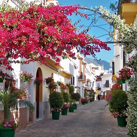 Pepe Vista Al Mar